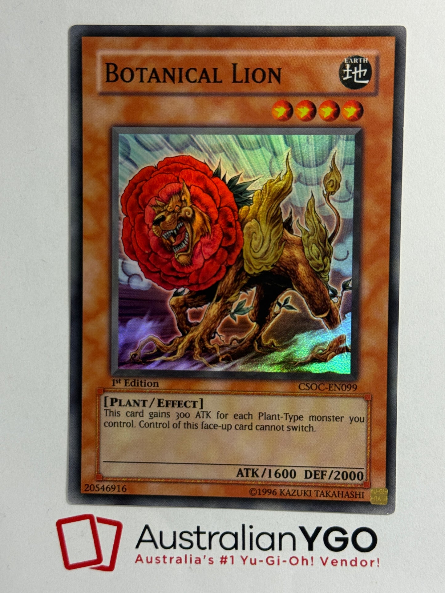 BOTANICAL LION CSOC-EN099