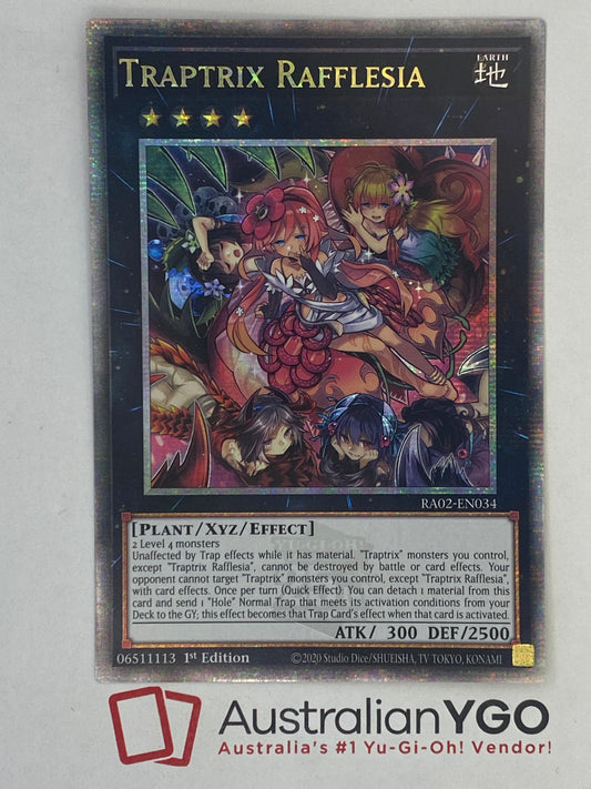 TRAPTRIX RAFFLESIA RA02-EN034 (QCR)