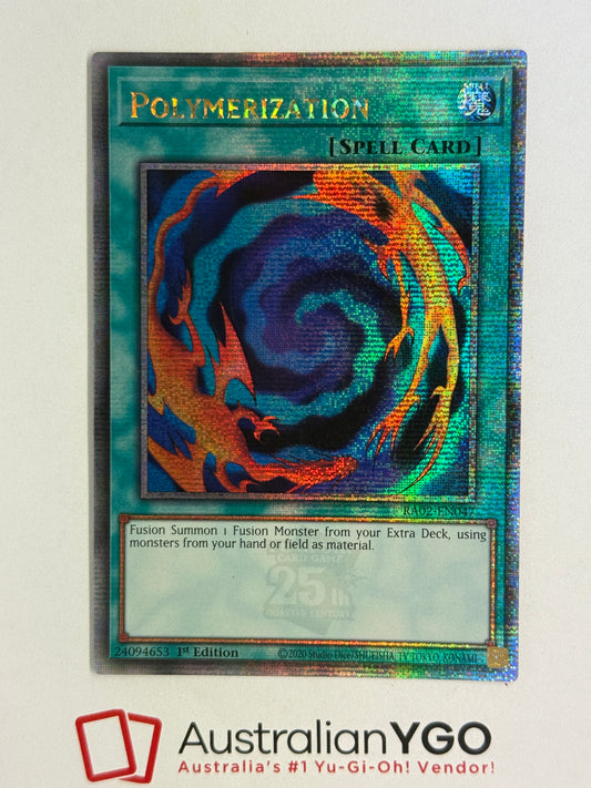 POLYMERIZATION  RA02-EN047 (QCR)