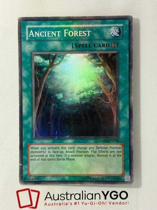 ANCIENT FOREST ANPR-EN048