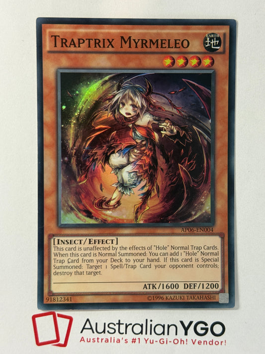 TRAPTRIX MYRMELEO AP06-EN004