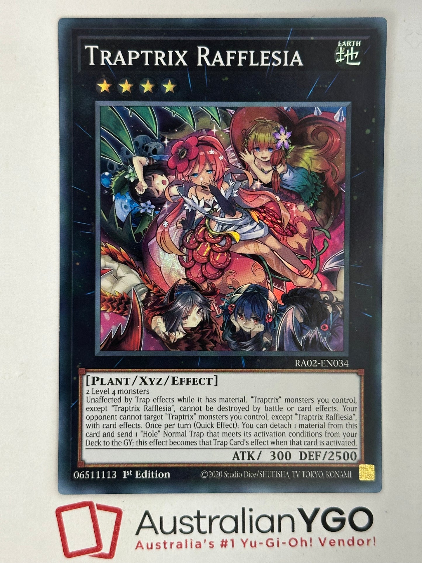 TRAPTRIX RAFFLESIA
RA02-EN034