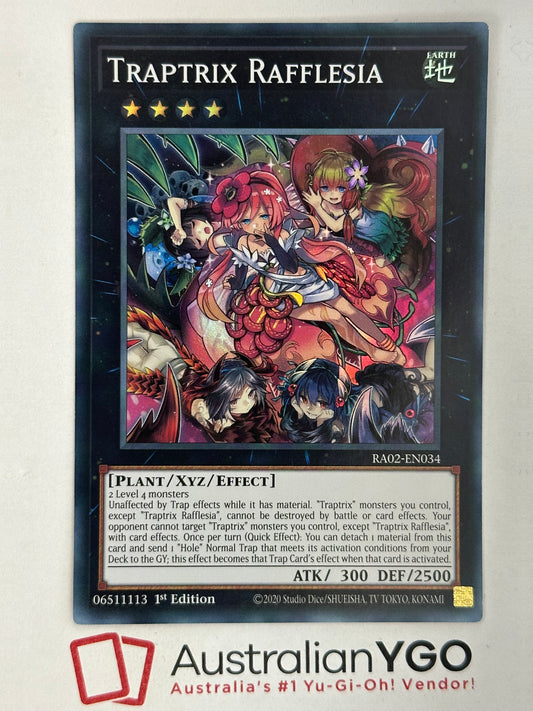 TRAPTRIX RAFFLESIA
RA02-EN034