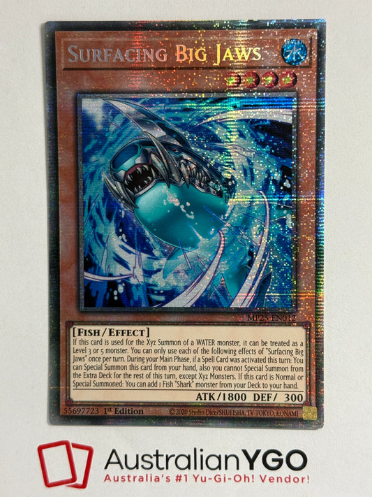 SURFACING BIG JAWS MP25-EN012 (Starlight)
