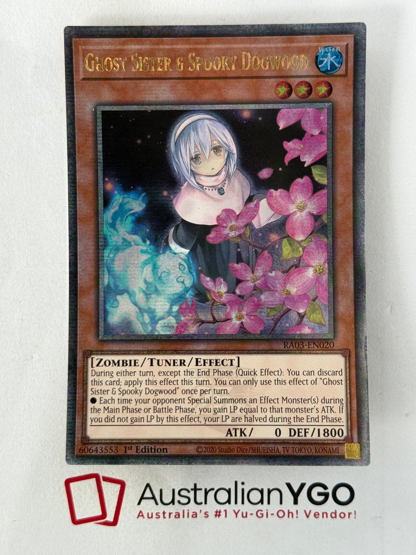 GHOST SISTER & SPOOKY DOGWOOD RA03-EN020 (QCR)