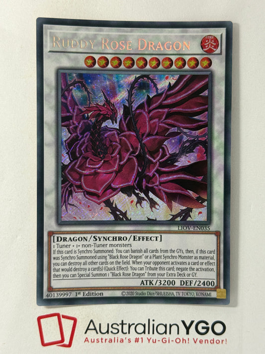 RUDDY ROSE DRAGON LIOV-ENO35