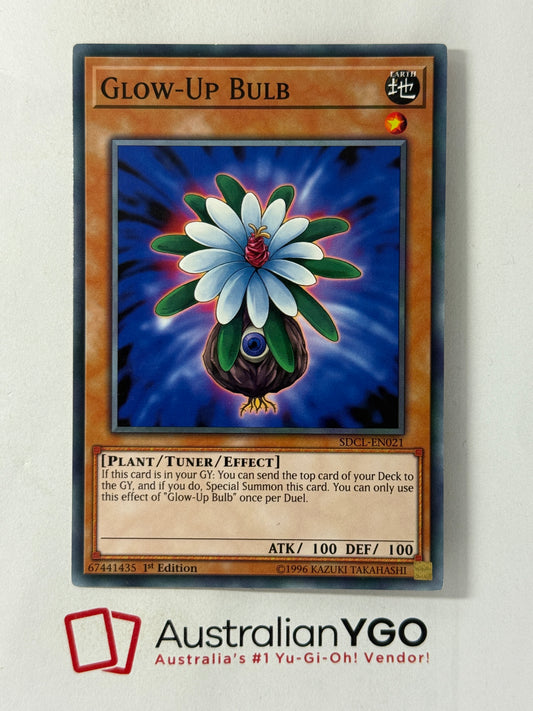 GLOW-UP BULB SDCL-EN021