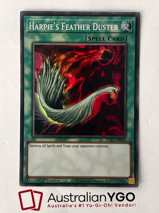 HARPIE'S FEATHER DUSTER EGSI-EN022