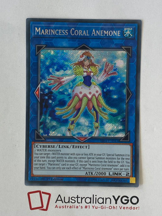 MARINCESS CORAL ANEMONE RIRA-EN041