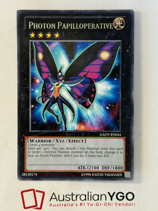 PHOTON PAPILLOPERATIVE GAOV-EN044