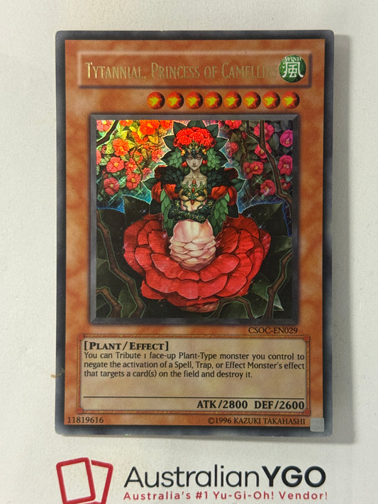 TYTANNIAL, PRINCESS OF CAMELLIAS CSOC-EN029