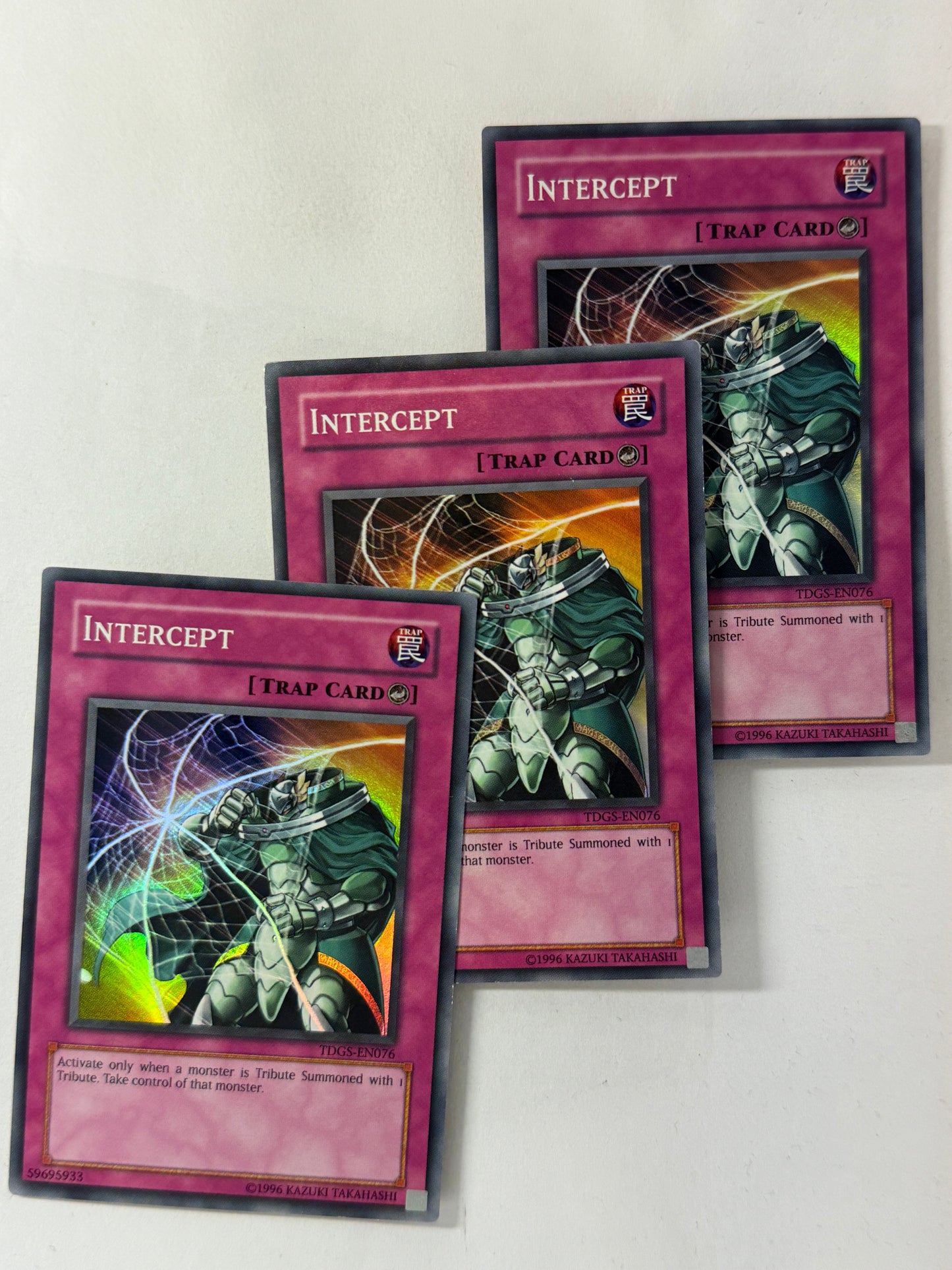 INTERCEPT TDGS-EN076