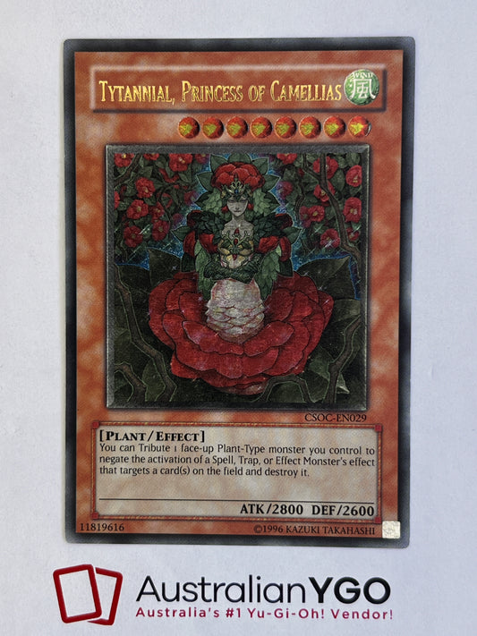 TYTANNIAL, PRINCESS OF CAMELLIAS CSOC-EN029 (UTR)