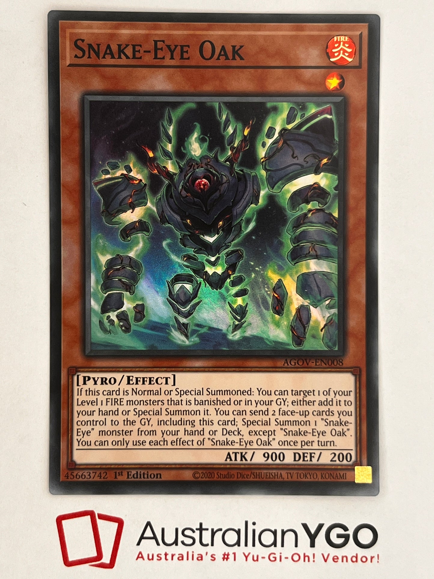 Snake-Eye Oak AGOV-EN008